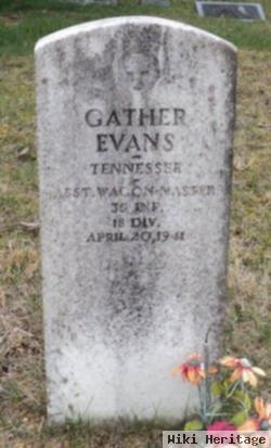 Gather Evans