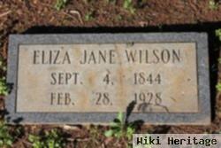 Eliza Jane Wilson Comer