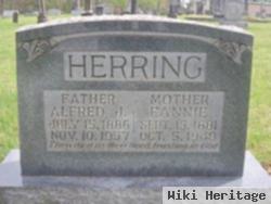 Alfred J. Herring