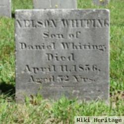 Nelson Whiting