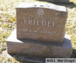 James M. Friedel