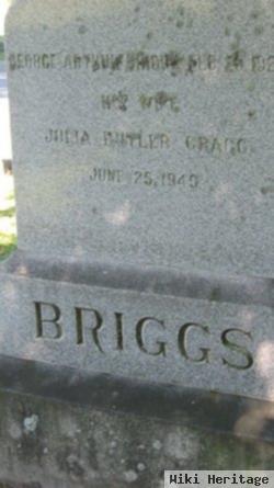 George Arthur Briggs