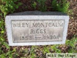 Wiley Montcalm Riggs