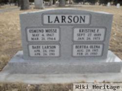 Kristine F Larson