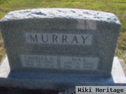 Charles A Murray