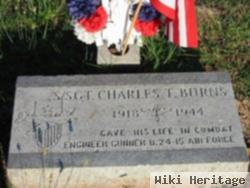 Ssgt Charles Taylor Burns