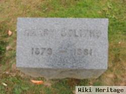 Harry Bolitho