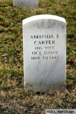 Amanda E Carter