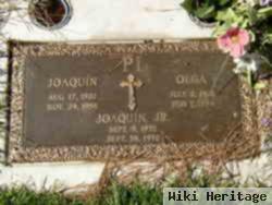 Joaquin Pi, Jr