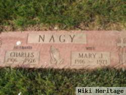 Mary J Nagy