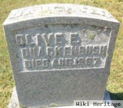 Olive E. Quackenbush