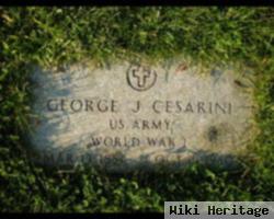 George J Cesarini