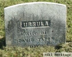 Ursula Haver Tator