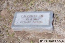 Daughter Of Mr. & Mrs. Richard Dietzel