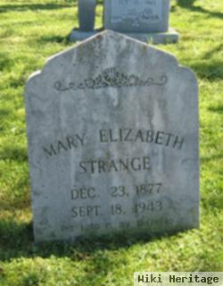 Mary Elizabeth Johnson Strange