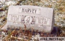 Harold Benjamin Harvey