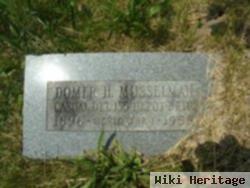 Domer H. Musselman