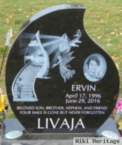 Ervin Livaja