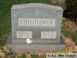 Nellie Joy Colliflower