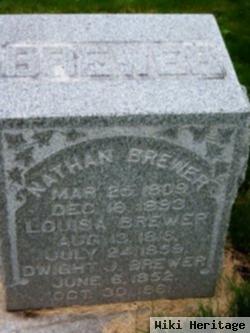 Louisa Chapin Brewer