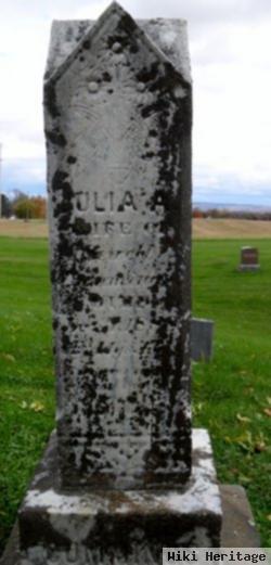 Julia A Cummings