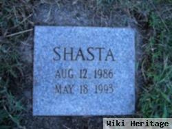 Shasta Nelson