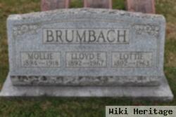 Lottie Brumbach