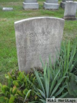 Sarah C Cook Haycock