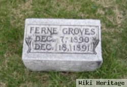 Ferne Groves