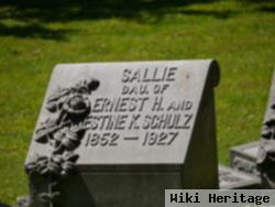 Sallie Schulz