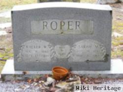 Walker W. Roper