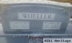 Amelia B. Wheeler