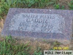 Walter Hayes Gaddie