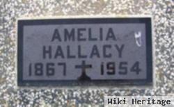 Amelia Vilmure Hallacy