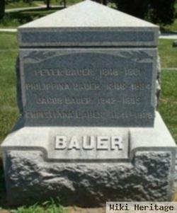 Peter Bauer