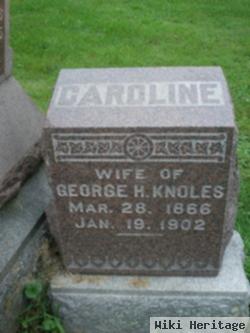 Caroline "carrie" Steine Knoles