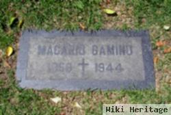 Macario Gamino