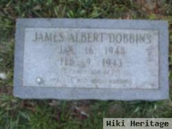 James Albert Dobbins