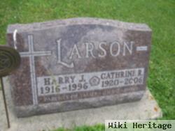 Harry James Larson