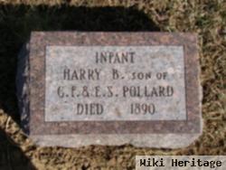 Harry B. Pollard