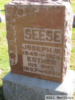 Joseph W Seese