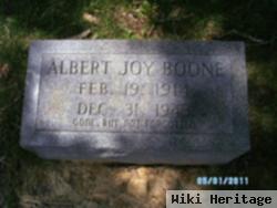 Albert Joy Boone