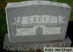 Chester A Grove