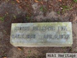 George Gillespie Fox