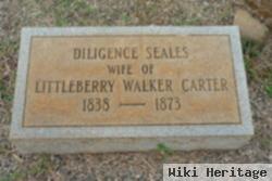 Mary Ann Diligence Seales Carter