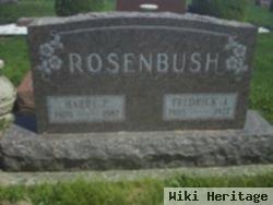 Harry P. Rosenbush