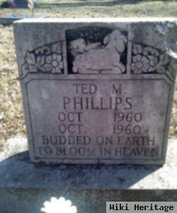 Ted M Phillips