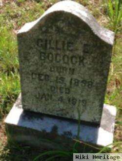 Gillie Elizabeth Farmer Bocock