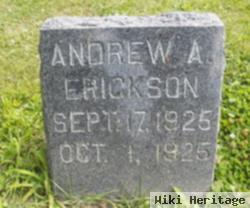 Andrew A. Erickson