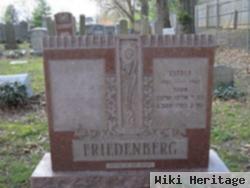 Esther Press Friedenberg